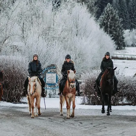 Aichlburg Sankt Michael im Lungau