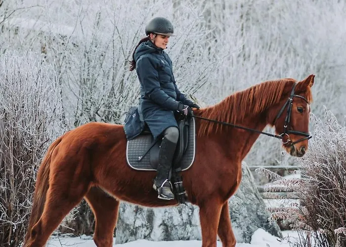 Aichlburg Daire Sankt Michael im Lungau